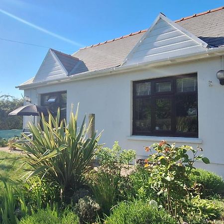 Y Cuddfan Gower Bed & Breakfast Swansea Ngoại thất bức ảnh